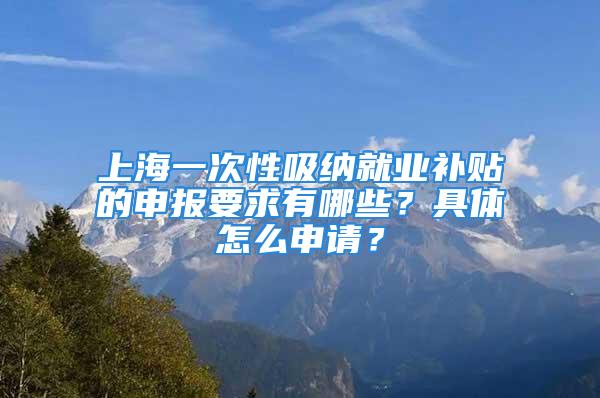 上海一次性吸納就業(yè)補貼的申報要求有哪些？具體怎么申請？