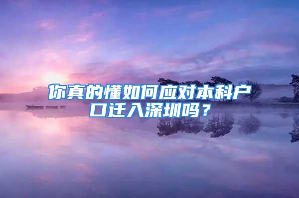 你真的懂如何應對本科戶口遷入深圳嗎？