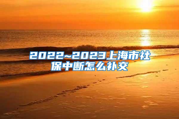 2022~2023上海市社保中斷怎么補(bǔ)交