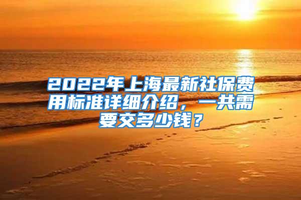 2022年上海最新社保費(fèi)用標(biāo)準(zhǔn)詳細(xì)介紹，一共需要交多少錢？