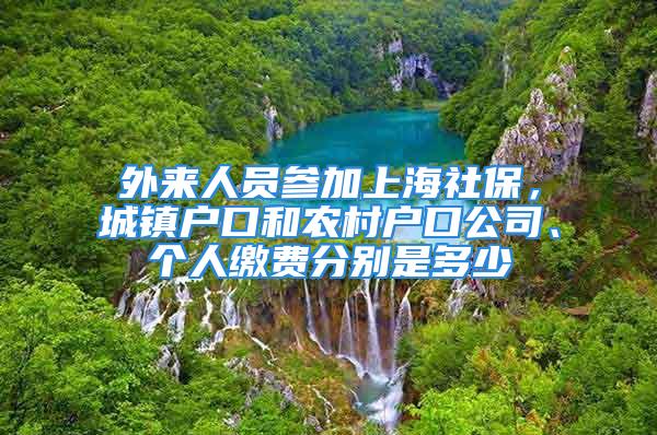 外來人員參加上海社保，城鎮(zhèn)戶口和農(nóng)村戶口公司、個人繳費分別是多少