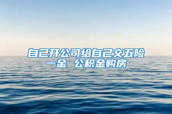 自己開公司給自己交五險一金 公積金購房