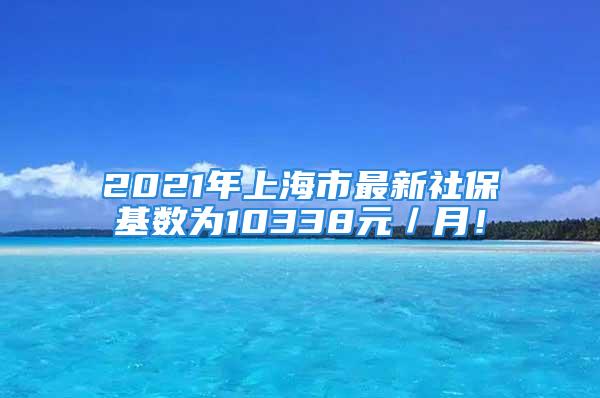 2021年上海市最新社?；鶖?shù)為10338元／月！