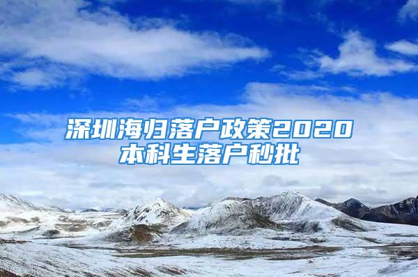 深圳海歸落戶政策2020本科生落戶秒批