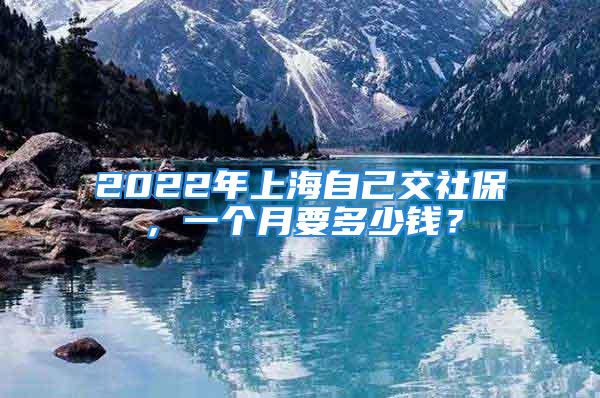 2022年上海自己交社保，一個月要多少錢？