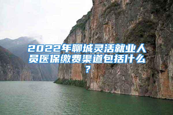 2022年聊城靈活就業(yè)人員醫(yī)保繳費渠道包括什么？