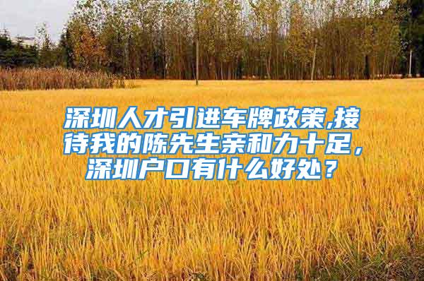 深圳人才引進車牌政策,接待我的陳先生親和力十足，深圳戶口有什么好處？