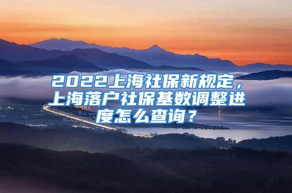 2022上海社保新規(guī)定，上海落戶社保基數(shù)調(diào)整進度怎么查詢？