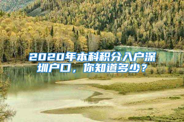 2020年本科積分入戶深圳戶口，你知道多少？