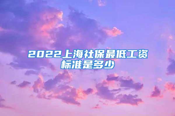 2022上海社保最低工資標(biāo)準(zhǔn)是多少