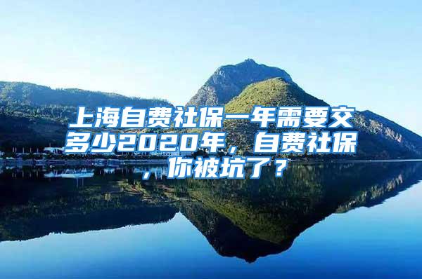 上海自費(fèi)社保一年需要交多少2020年，自費(fèi)社保，你被坑了？