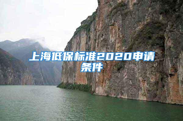 上海低保標(biāo)準(zhǔn)2020申請(qǐng)條件