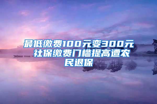 最低繳費(fèi)100元變300元 社保繳費(fèi)門檻提高遭農(nóng)民退保