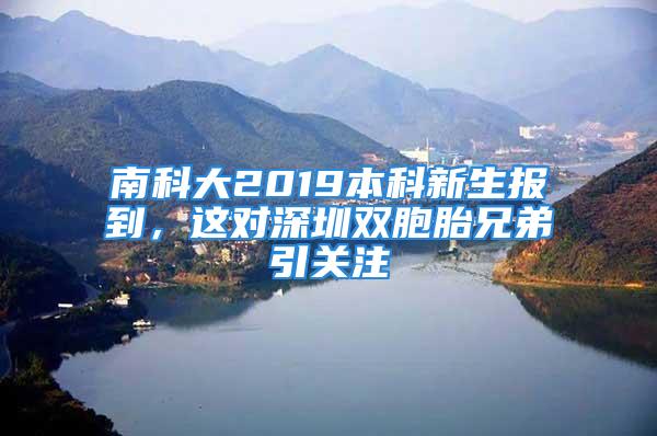 南科大2019本科新生報到，這對深圳雙胞胎兄弟引關(guān)注