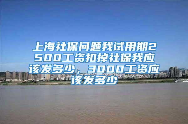 上海社保問題我試用期2500工資扣掉社保我應(yīng)該發(fā)多少，3000工資應(yīng)該發(fā)多少