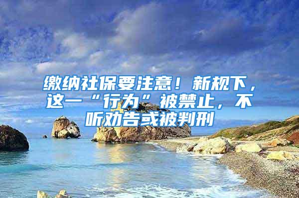 繳納社保要注意！新規(guī)下，這一“行為”被禁止，不聽勸告或被判刑