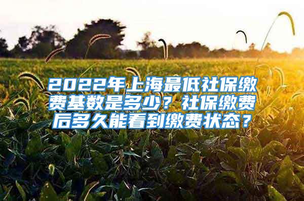 2022年上海最低社保繳費(fèi)基數(shù)是多少？社保繳費(fèi)后多久能看到繳費(fèi)狀態(tài)？