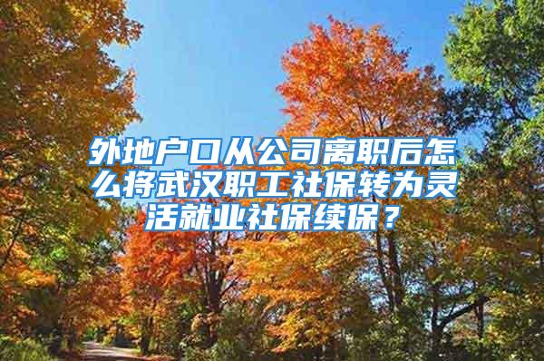 外地戶口從公司離職后怎么將武漢職工社保轉(zhuǎn)為靈活就業(yè)社保續(xù)保？