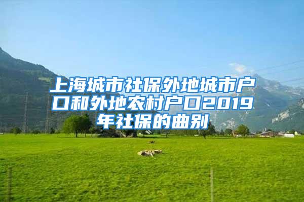 上海城市社保外地城市戶口和外地農(nóng)村戶口2019年社保的曲別