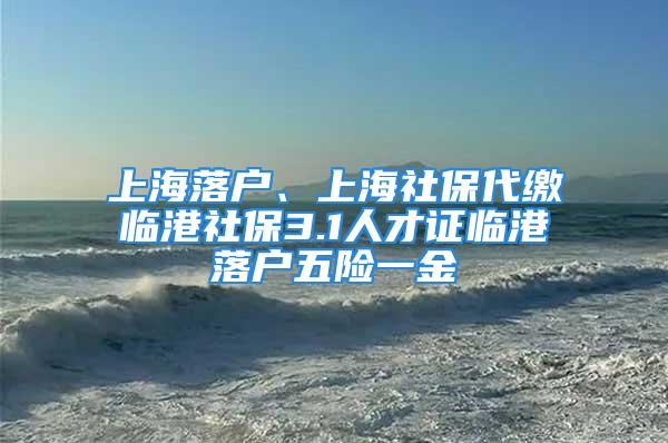 上海落戶、上海社保代繳臨港社保3.1人才證臨港落戶五險(xiǎn)一金