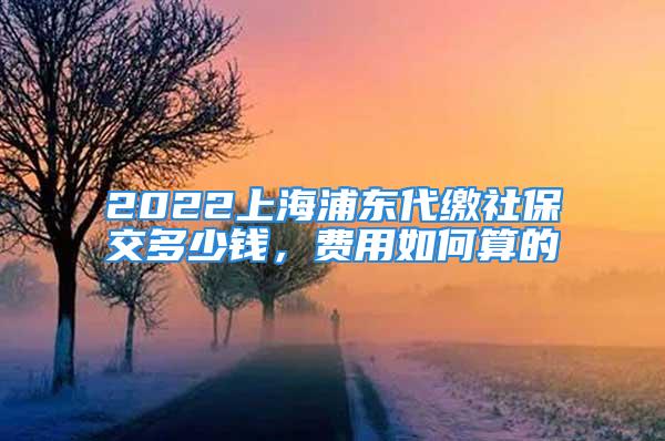 2022上海浦東代繳社保交多少錢，費(fèi)用如何算的