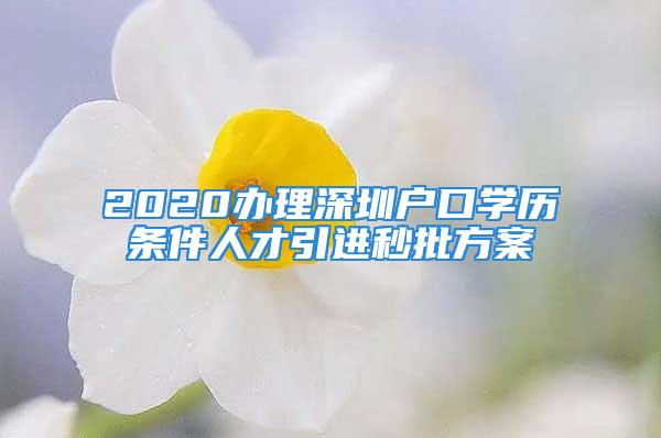 2020辦理深圳戶口學(xué)歷條件人才引進(jìn)秒批方案