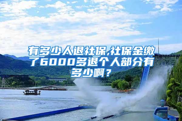 有多少人退社保,社保金繳了6000多退個人部分有多少??？