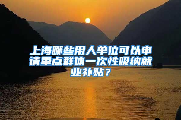 上海哪些用人單位可以申請重點群體一次性吸納就業(yè)補貼？