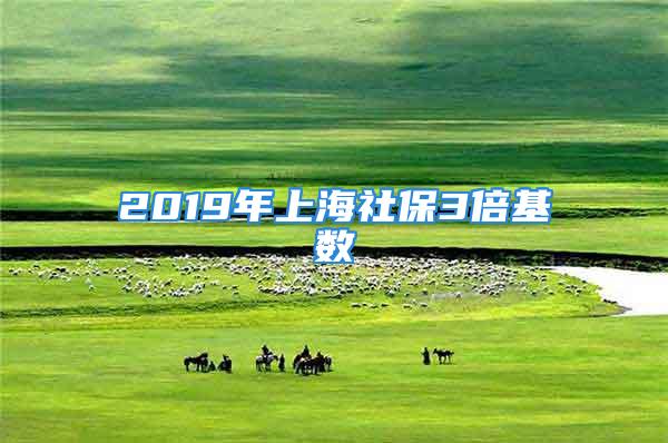 2019年上海社保3倍基數(shù)