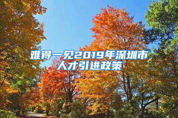 難得一見2019年深圳市人才引進(jìn)政策