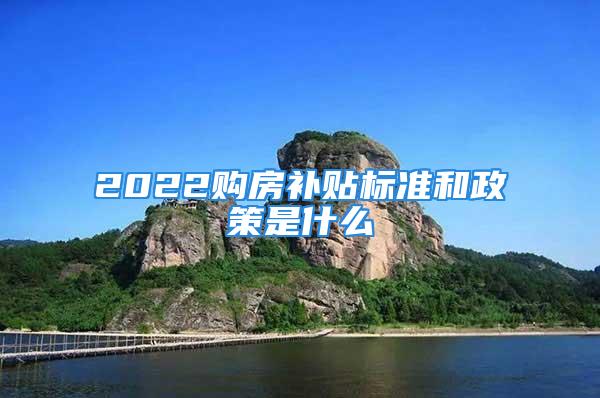 2022購(gòu)房補(bǔ)貼標(biāo)準(zhǔn)和政策是什么