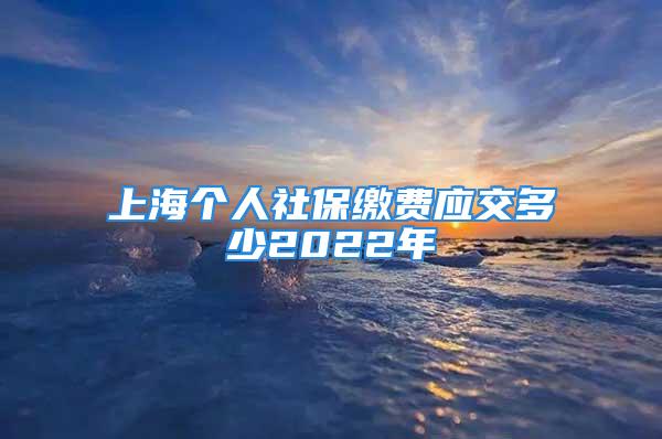 上海個人社保繳費應交多少2022年