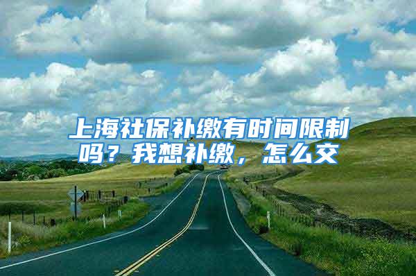 上海社保補繳有時間限制嗎？我想補繳，怎么交