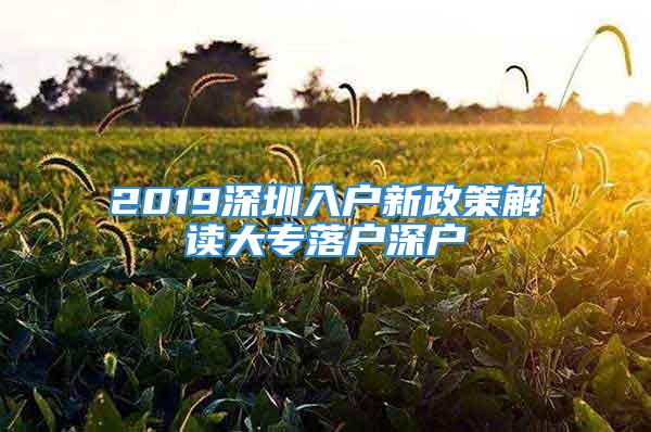 2019深圳入戶新政策解讀大專落戶深戶