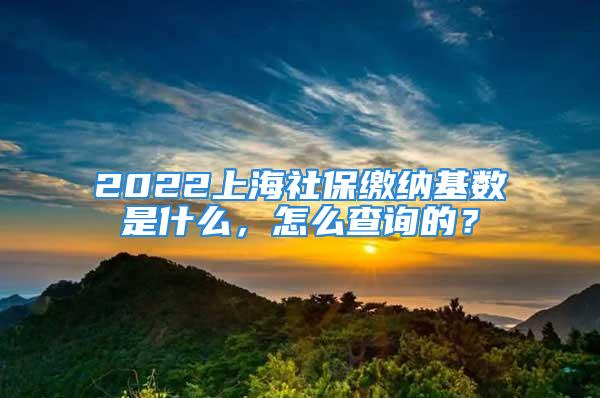 2022上海社保繳納基數(shù)是什么，怎么查詢(xún)的？