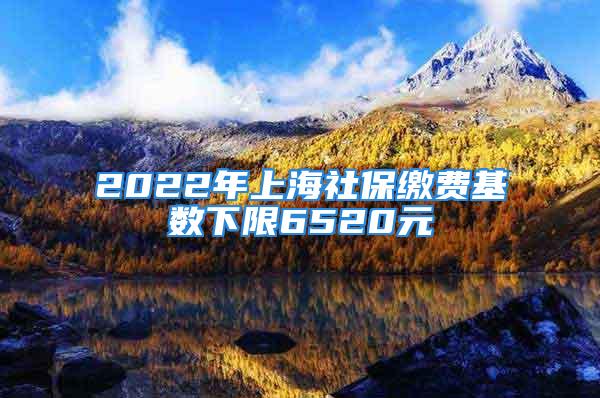 2022年上海社保繳費(fèi)基數(shù)下限6520元