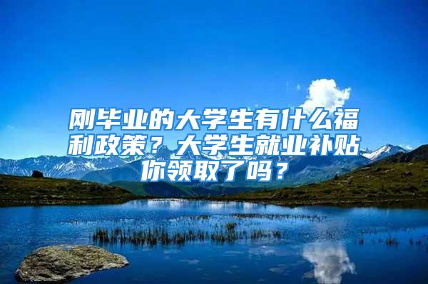 剛畢業(yè)的大學生有什么福利政策？大學生就業(yè)補貼你領(lǐng)取了嗎？