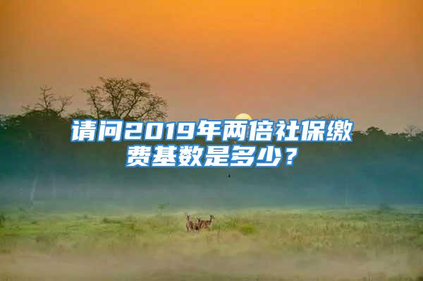 請問2019年兩倍社保繳費基數(shù)是多少？