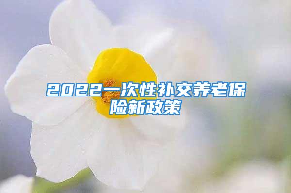 2022一次性補交養(yǎng)老保險新政策