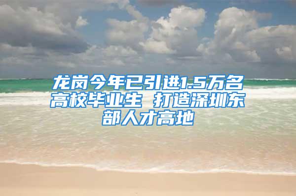 龍崗今年已引進(jìn)1.5萬名高校畢業(yè)生 打造深圳東部人才高地