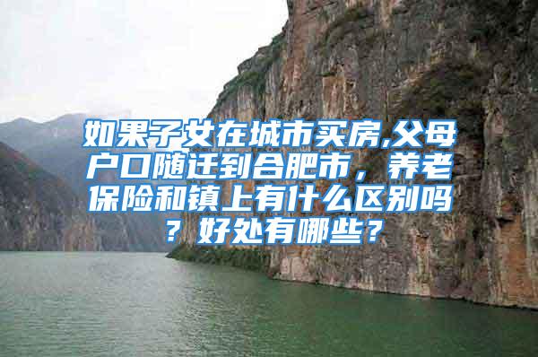 如果子女在城市買房,父母戶口隨遷到合肥市，養(yǎng)老保險和鎮(zhèn)上有什么區(qū)別嗎？好處有哪些？