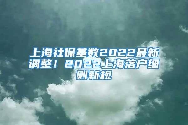 上海社?；鶖?shù)2022最新調(diào)整！2022上海落戶細(xì)則新規(guī)