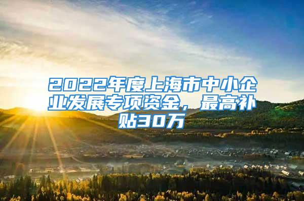 2022年度上海市中小企業(yè)發(fā)展專項(xiàng)資金，最高補(bǔ)貼30萬