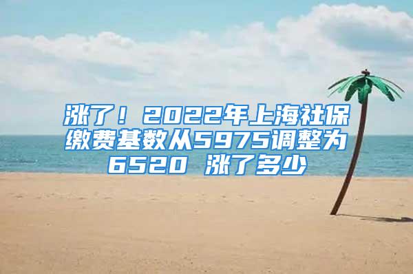 漲了！2022年上海社保繳費(fèi)基數(shù)從5975調(diào)整為6520 漲了多少