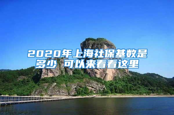 2020年上海社?；鶖?shù)是多少 可以來看看這里