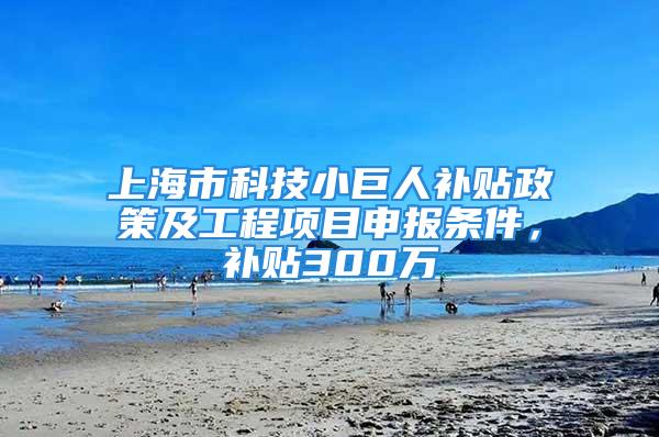 上海市科技小巨人補貼政策及工程項目申報條件，補貼300萬