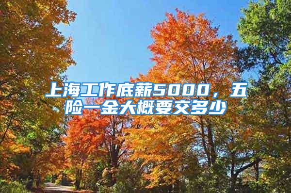 上海工作底薪5000，五險(xiǎn)一金大概要交多少