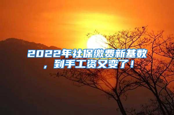 2022年社保繳費(fèi)新基數(shù)，到手工資又變了！