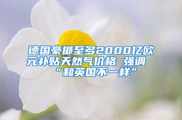 德國豪擲至多2000億歐元補貼天然氣價格 強調(diào)“和英國不一樣”