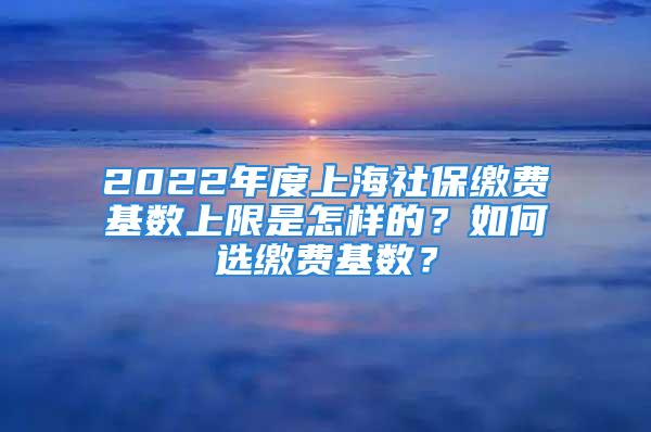 2022年度上海社保繳費(fèi)基數(shù)上限是怎樣的？如何選繳費(fèi)基數(shù)？